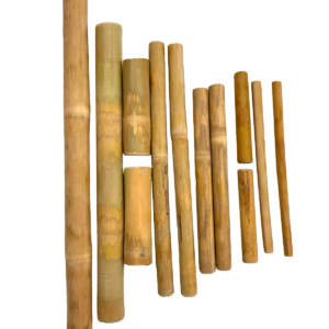 KIT BAMBO MASSAGE ARTIGIANALE EVOLUTION ACADEMY