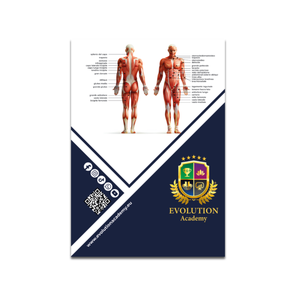 LIBRO ANATOMIA E MASSAGGIO SPORTIVO