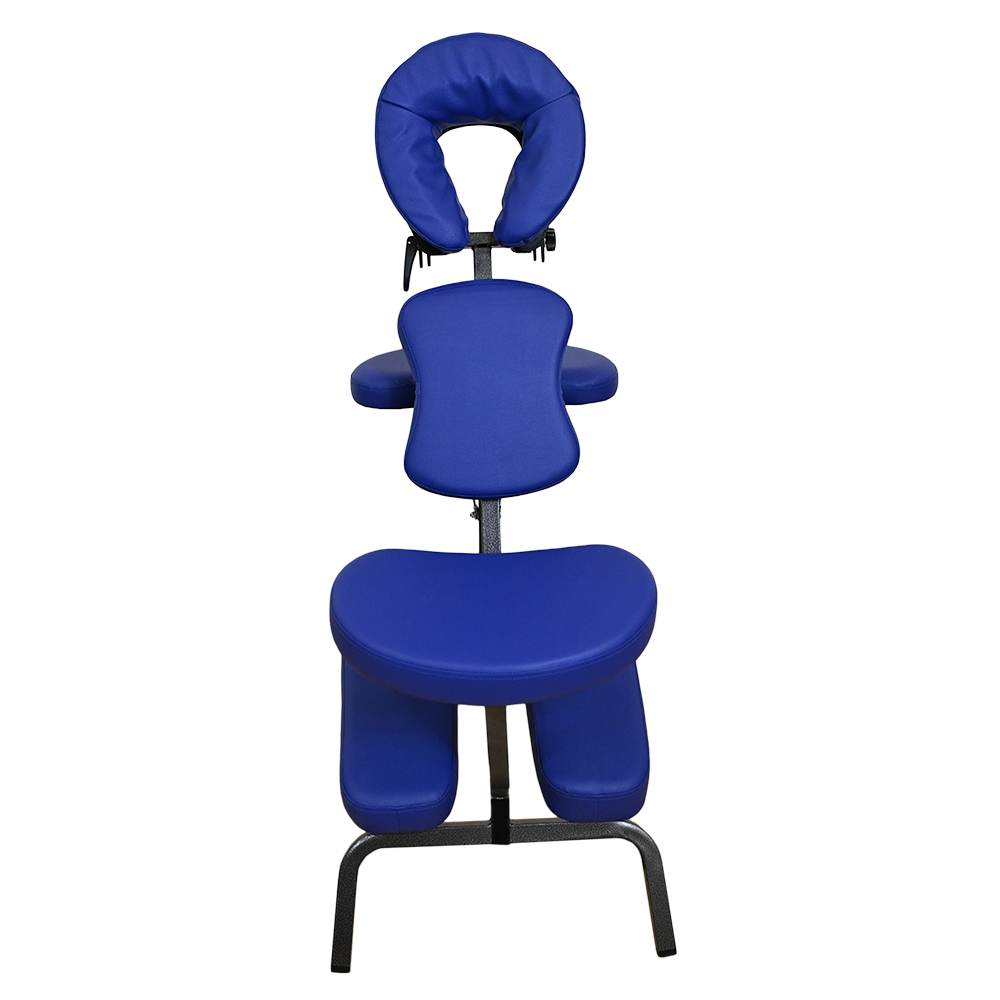 SEDIA ERGONOMICA COLORE BLU - immagine 2